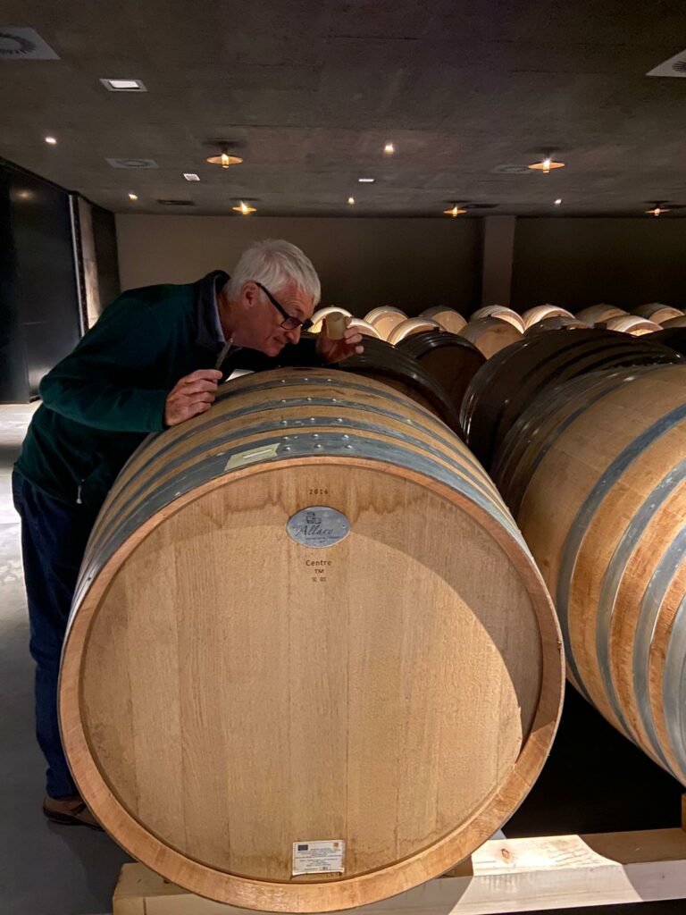 tour du vin Sicily barrels