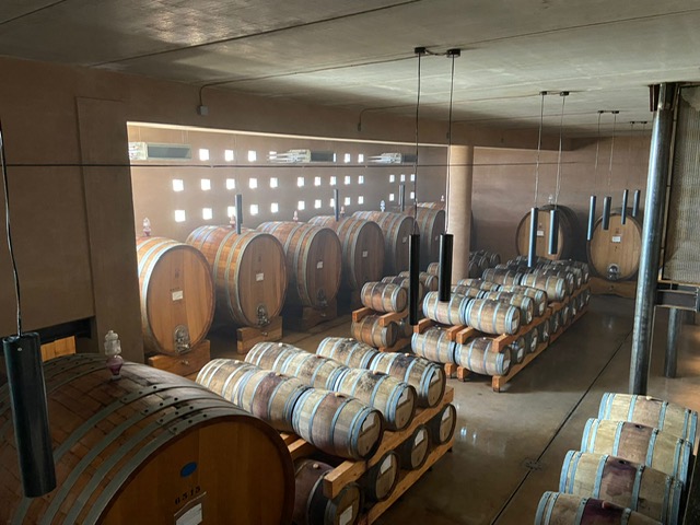 wine storage