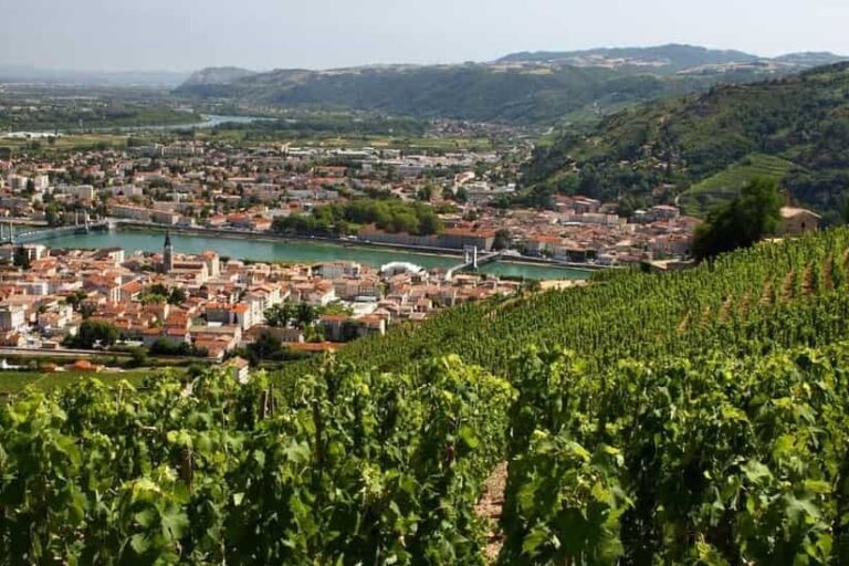 rhone-valley