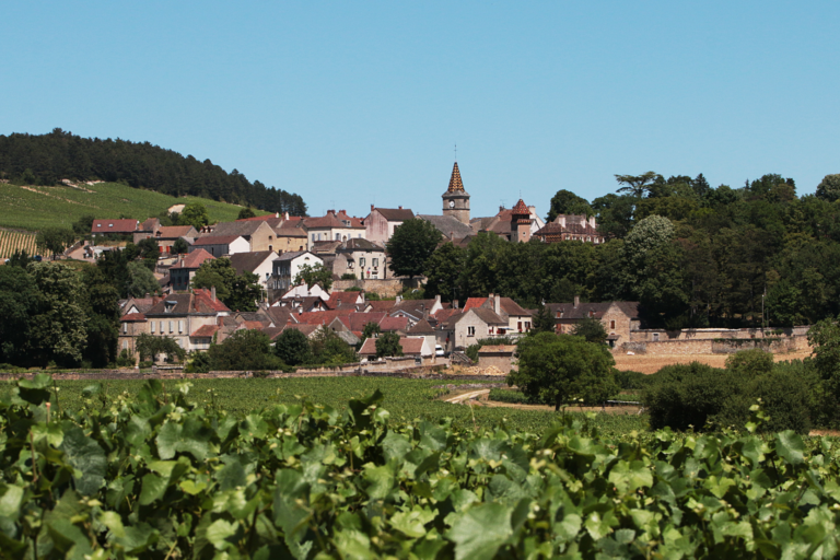 Burgundy Summer Driving Tour